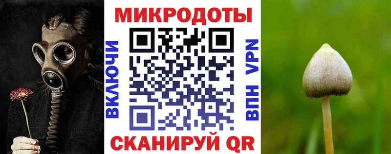 Купить где Дегтярск Псилоцибиновые грибы Psilocybe