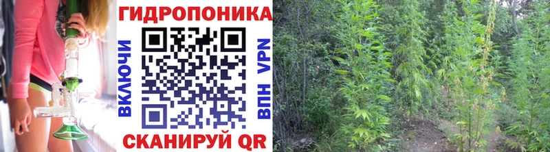 Купить где  Дегтярск  Марихуана LSD WEED 